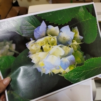 59188.jpg - หมึกสี 500 กรัม Toner Pro OA Serox คุณภาพหมึกเทียบเท่าเครื่องสีซีรอค | https://ร้านเครื่องถ่ายเอกสาร.com